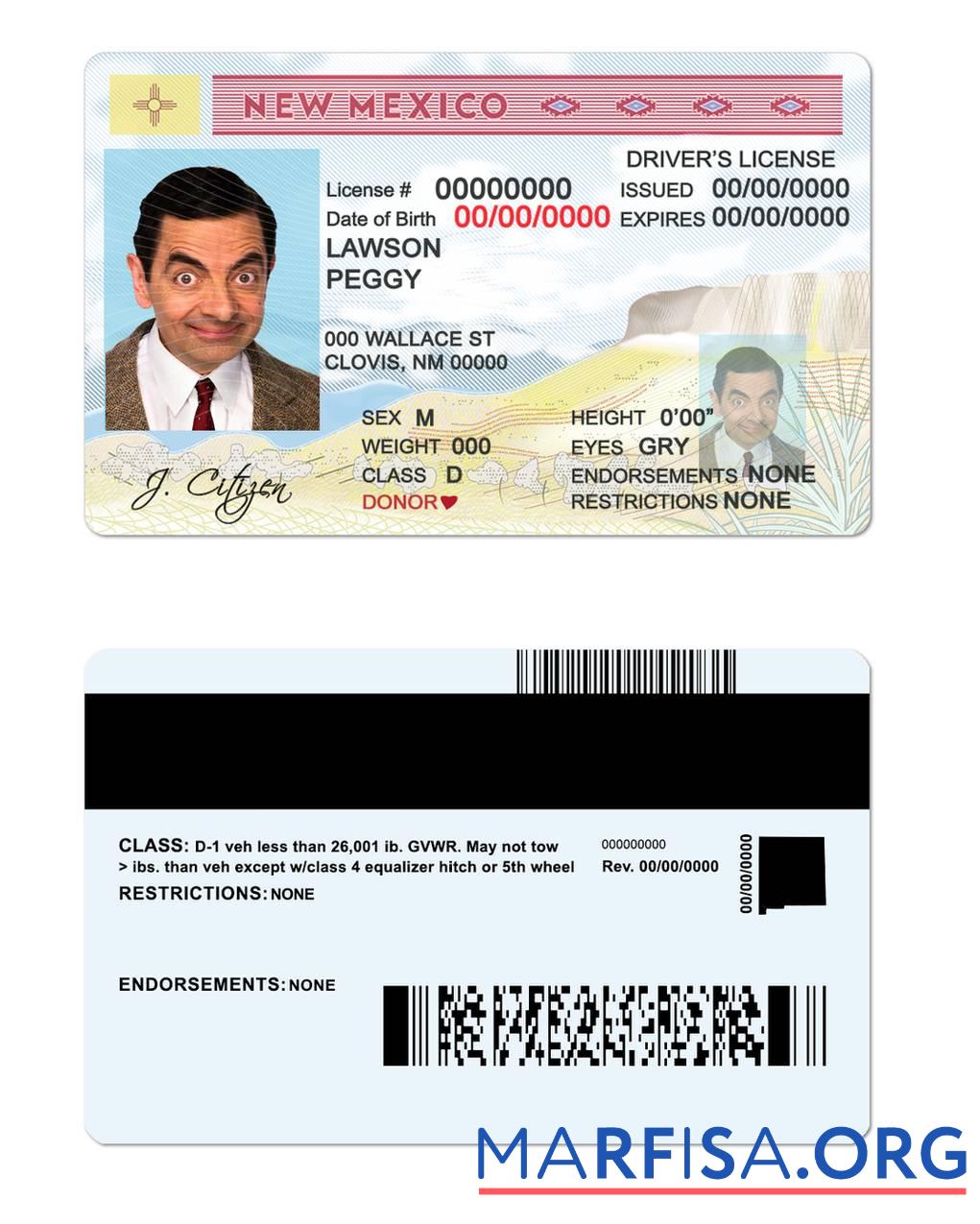 Downloadable USA State New Mexico driving license example